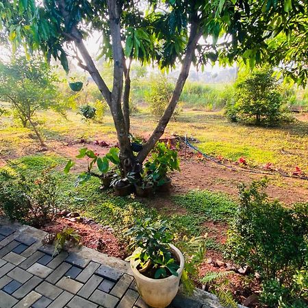 Fairview Dill Homestay Σιγκιρίγια Εξωτερικό φωτογραφία