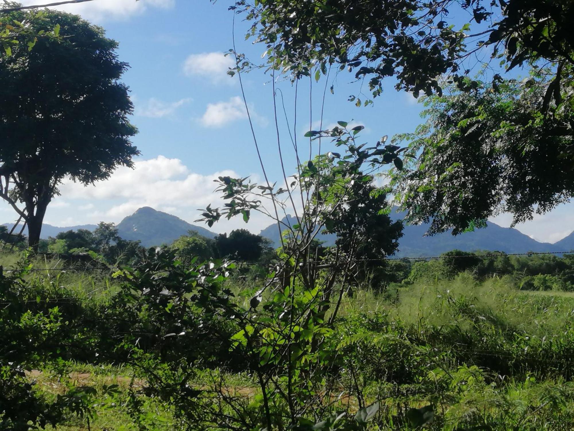 Fairview Dill Homestay Σιγκιρίγια Εξωτερικό φωτογραφία
