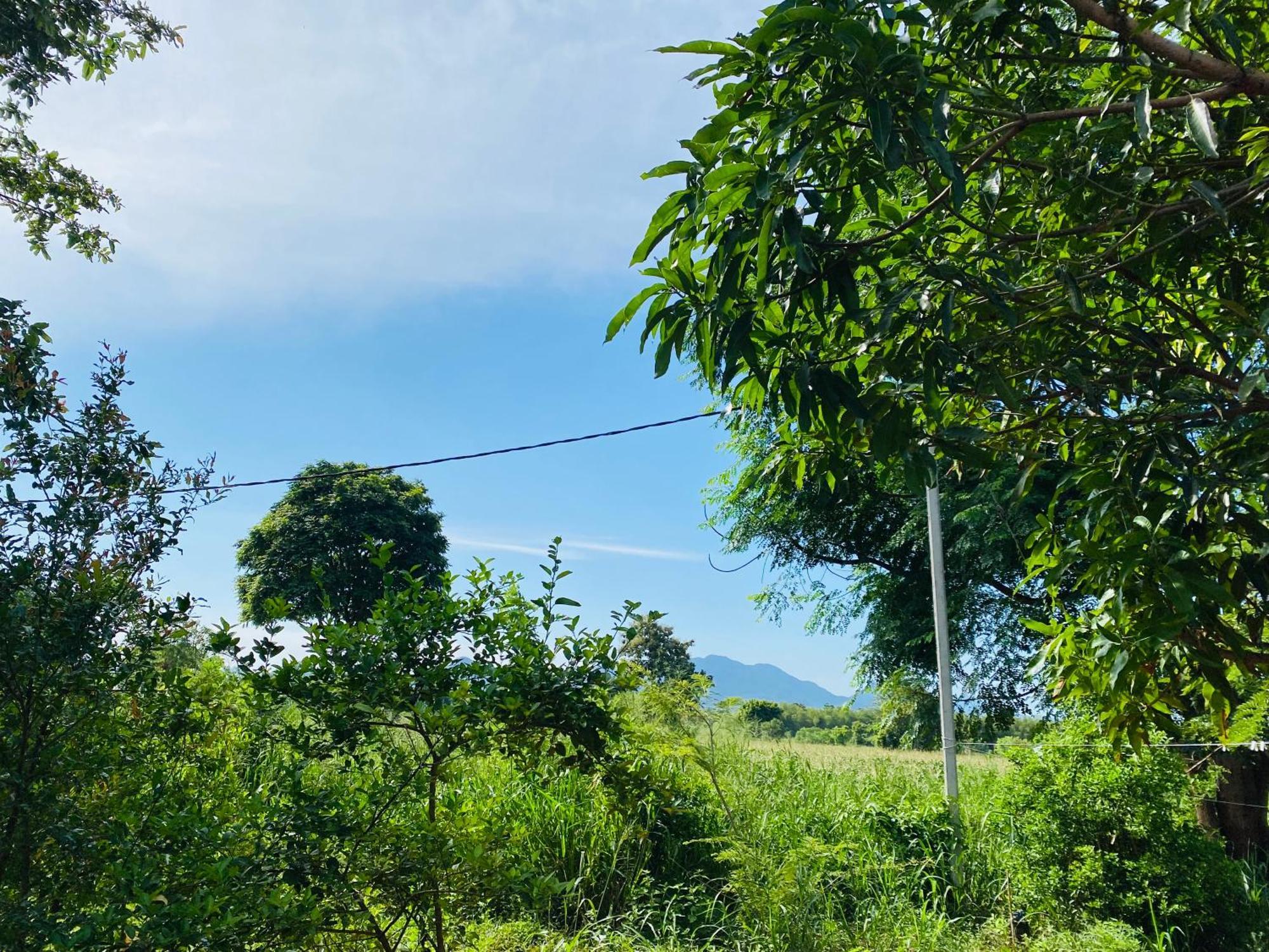 Fairview Dill Homestay Σιγκιρίγια Εξωτερικό φωτογραφία