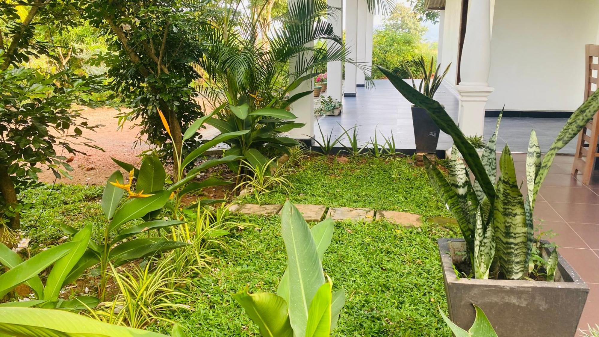 Fairview Dill Homestay Σιγκιρίγια Εξωτερικό φωτογραφία