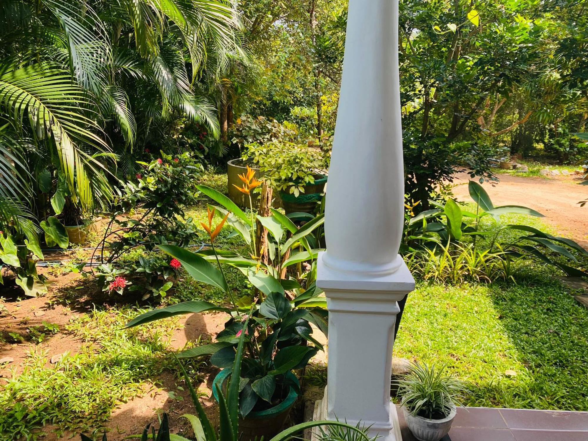 Fairview Dill Homestay Σιγκιρίγια Εξωτερικό φωτογραφία