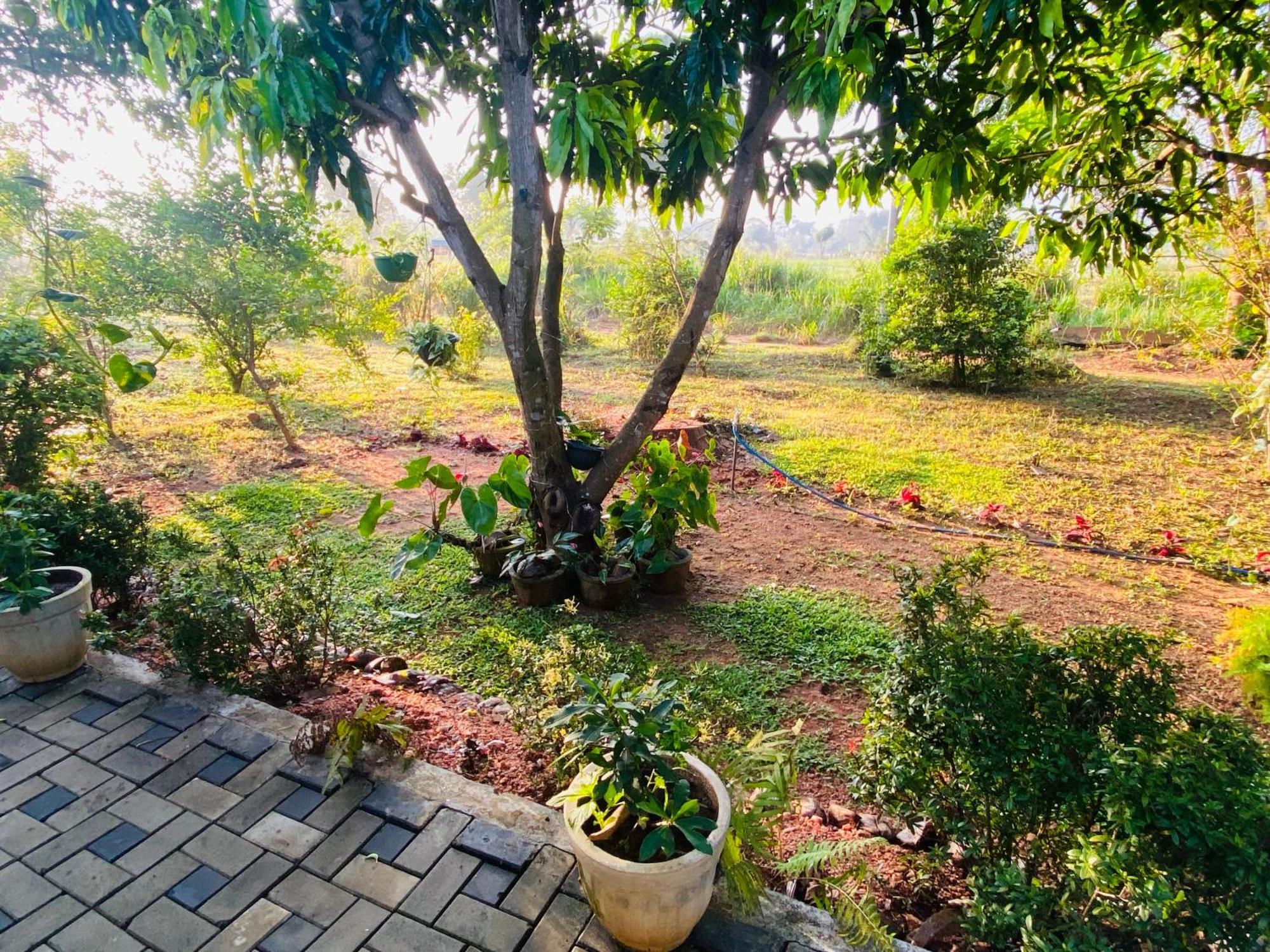 Fairview Dill Homestay Σιγκιρίγια Εξωτερικό φωτογραφία